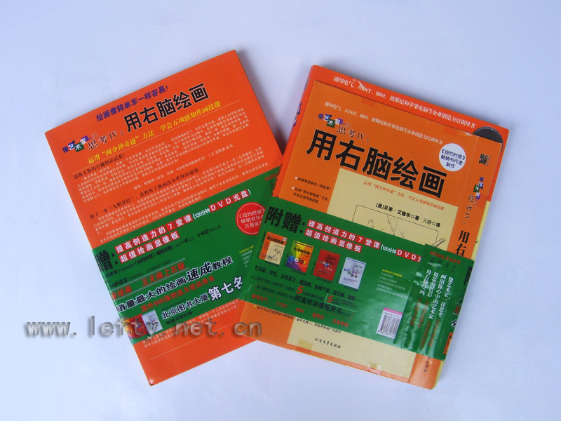 像艺术家一样思考Ⅳ：用右脑绘画